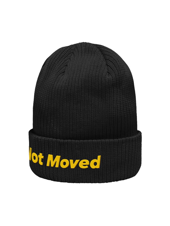Not Moved Organic Statement Beanie product image (2)