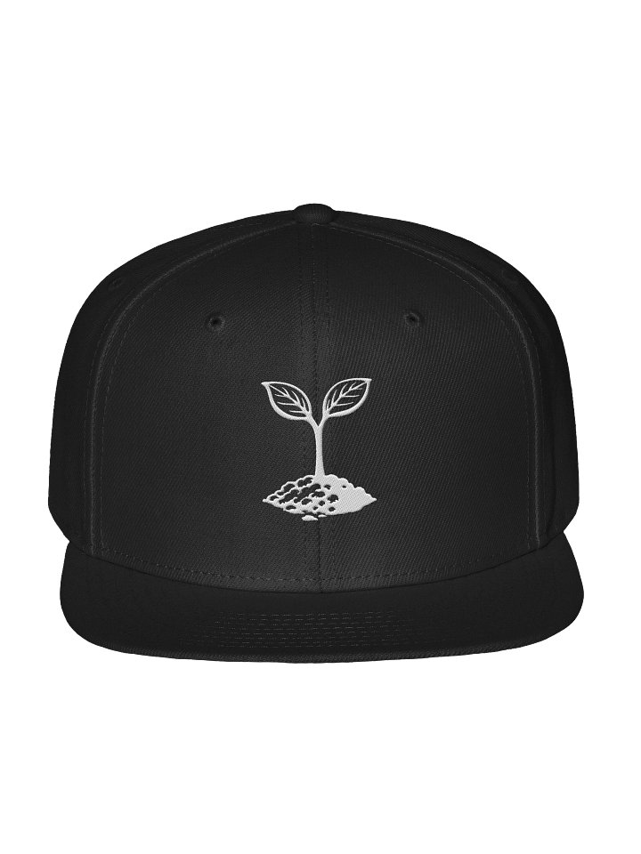 The Short - Snap Back product image (1)