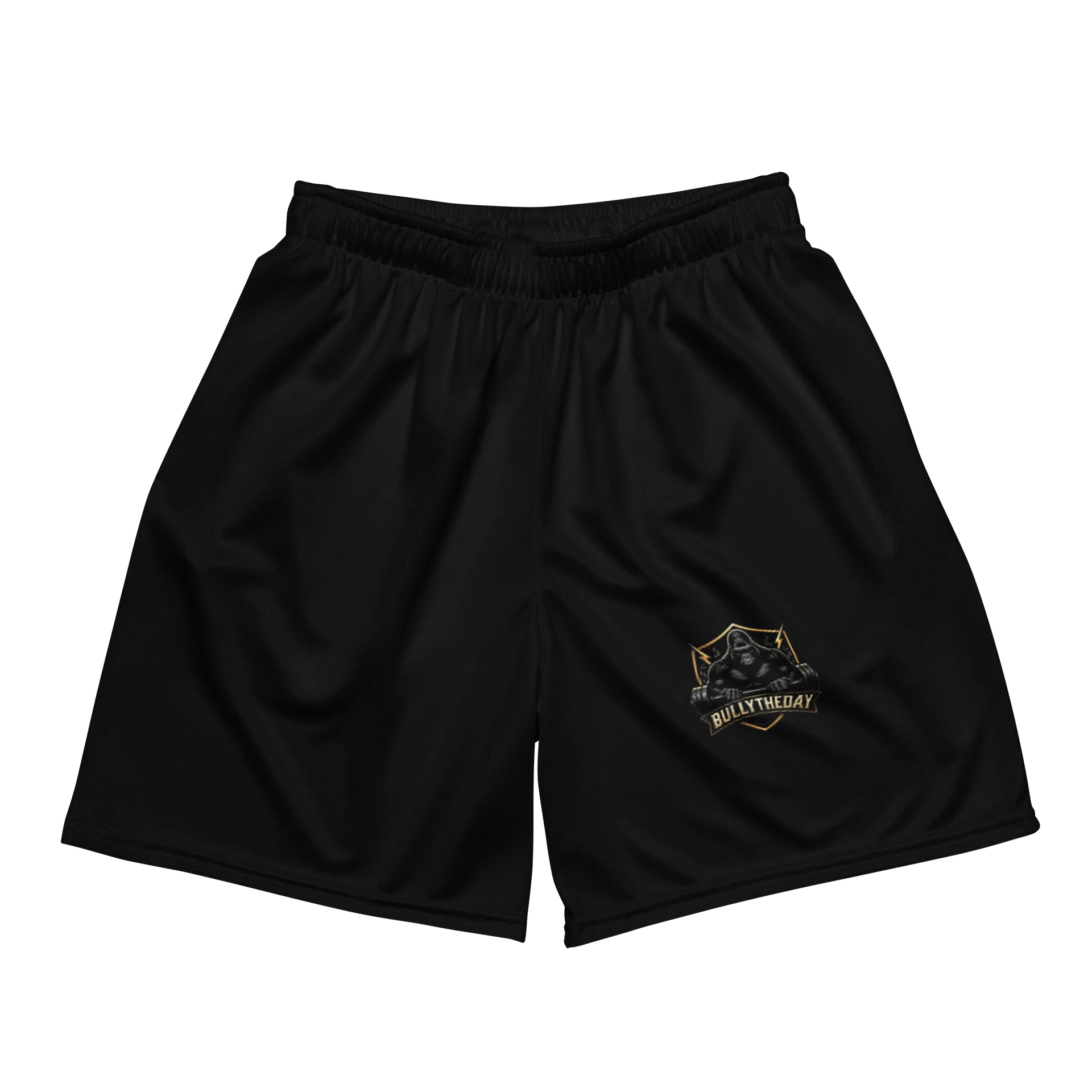 Bully The Day Mesh Basketball Shorts - Black product image (1)