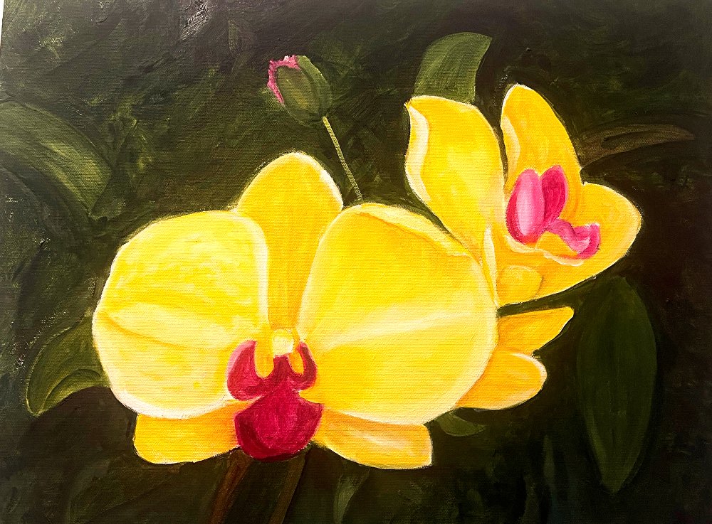 Orquídea Amarilla product image (1)