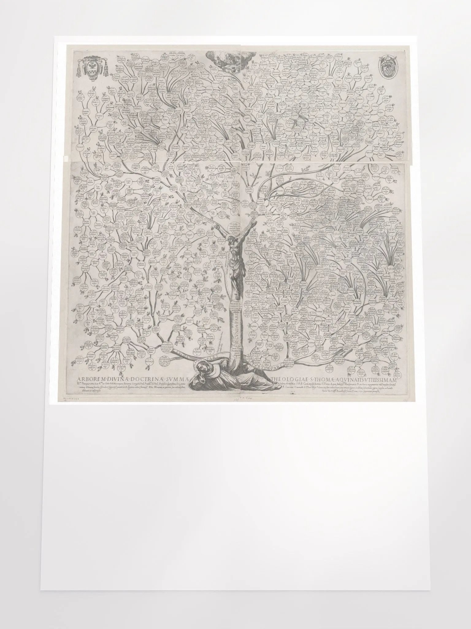 Aquinas Tree product image (4)