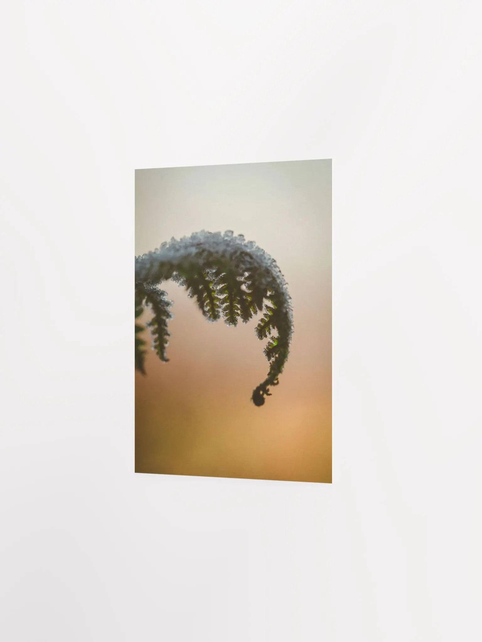 Ice, ice, baby product image (6)