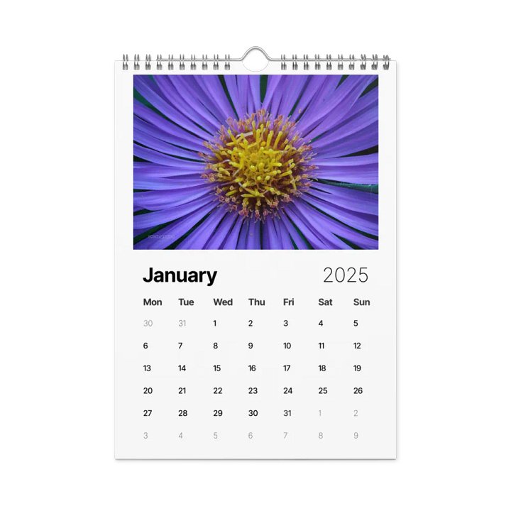 Pure Colors 2025 Wall Calendar product image (2)