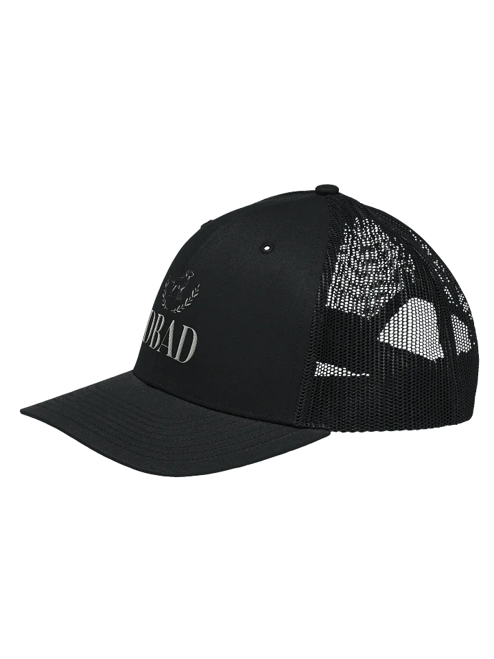 Good Boy product image (2)