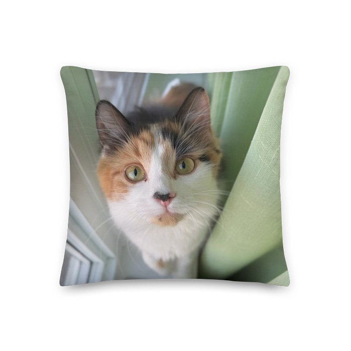 Stinking Cute Pillow | Oreiller product image (2)