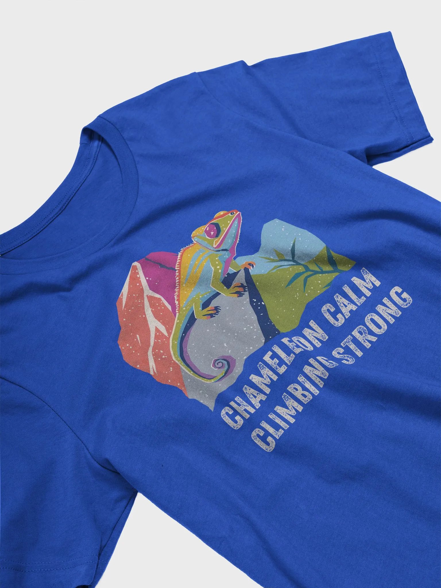 Chameleon Calm - Climbing T-Shirt product image (50)