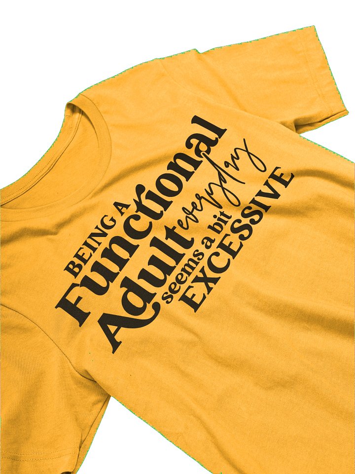 Being A Functional Adult product image (22)