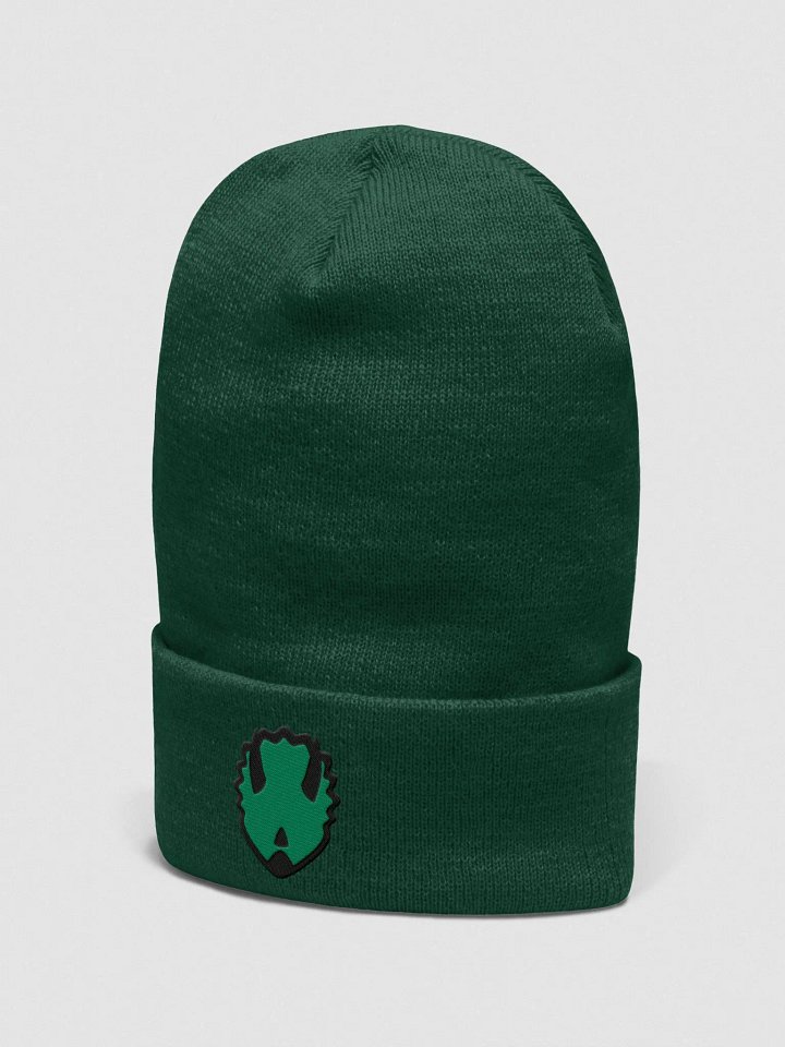 Touque/Winter Hat Green product image (2)