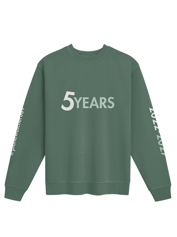 PW389 5 Years Sweatshirt - Spearmint product image (1)