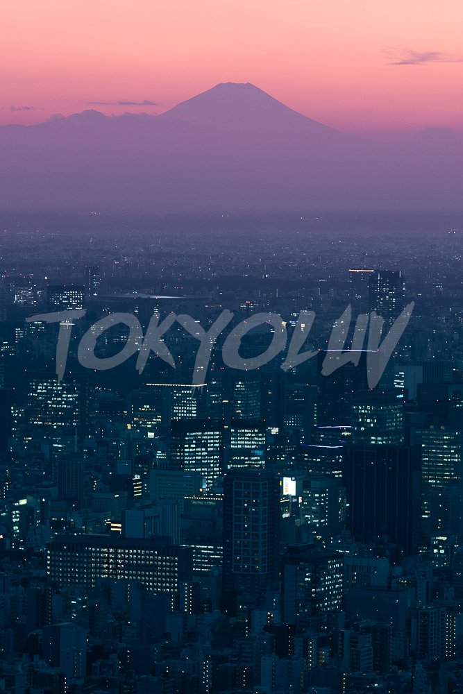 Tokyo Light & Shadow: Wallpaper Pack product image (8)