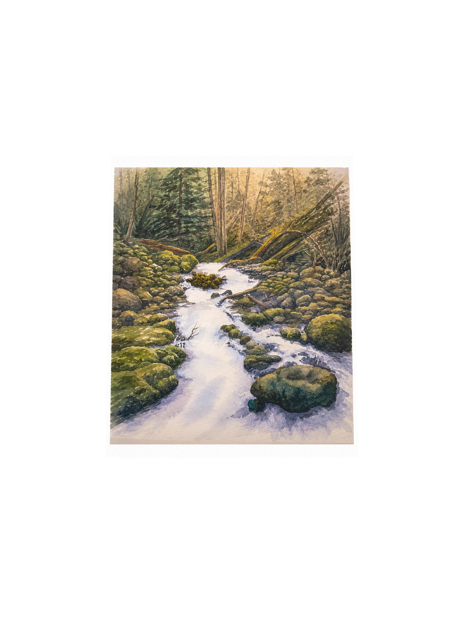 Forest Creek product image (4)