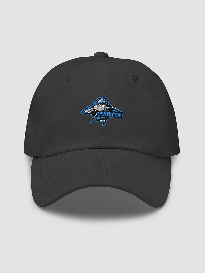 Sylver's hat product image (2)