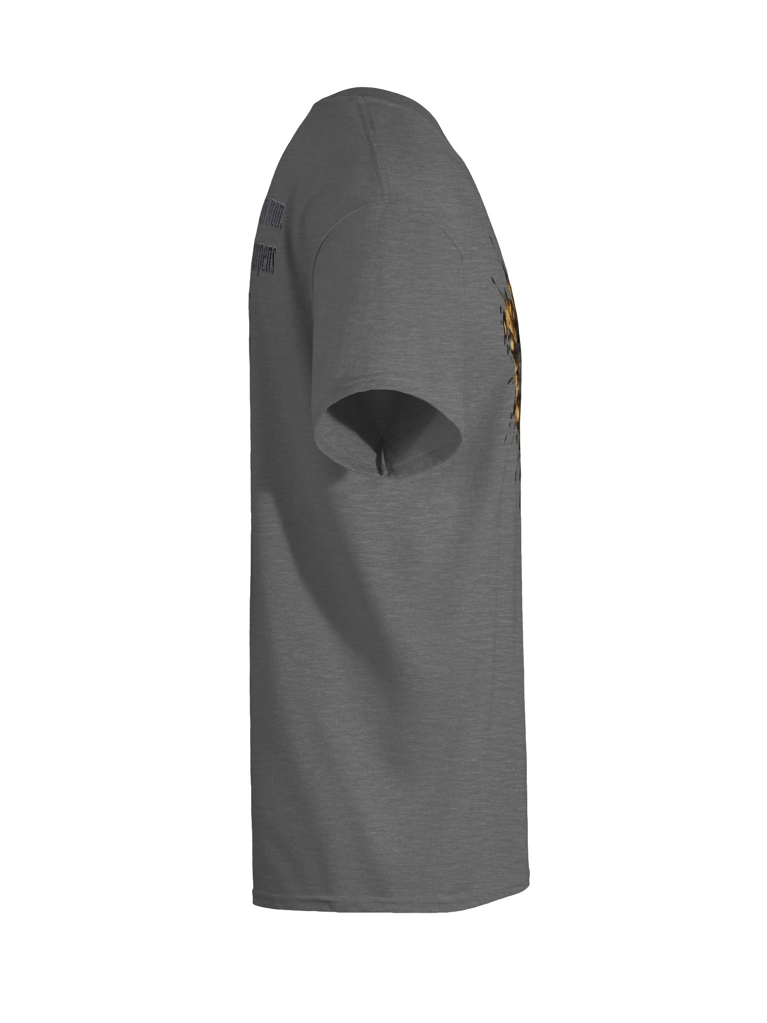 Iron Sharpens Iron Tee product image (10)