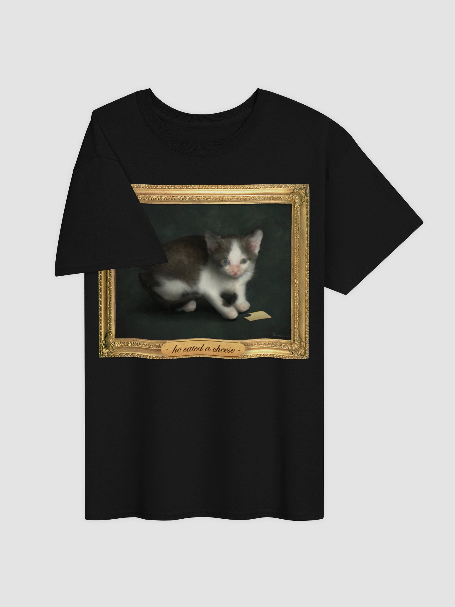 he eated a cheese T-shirt product image (3)