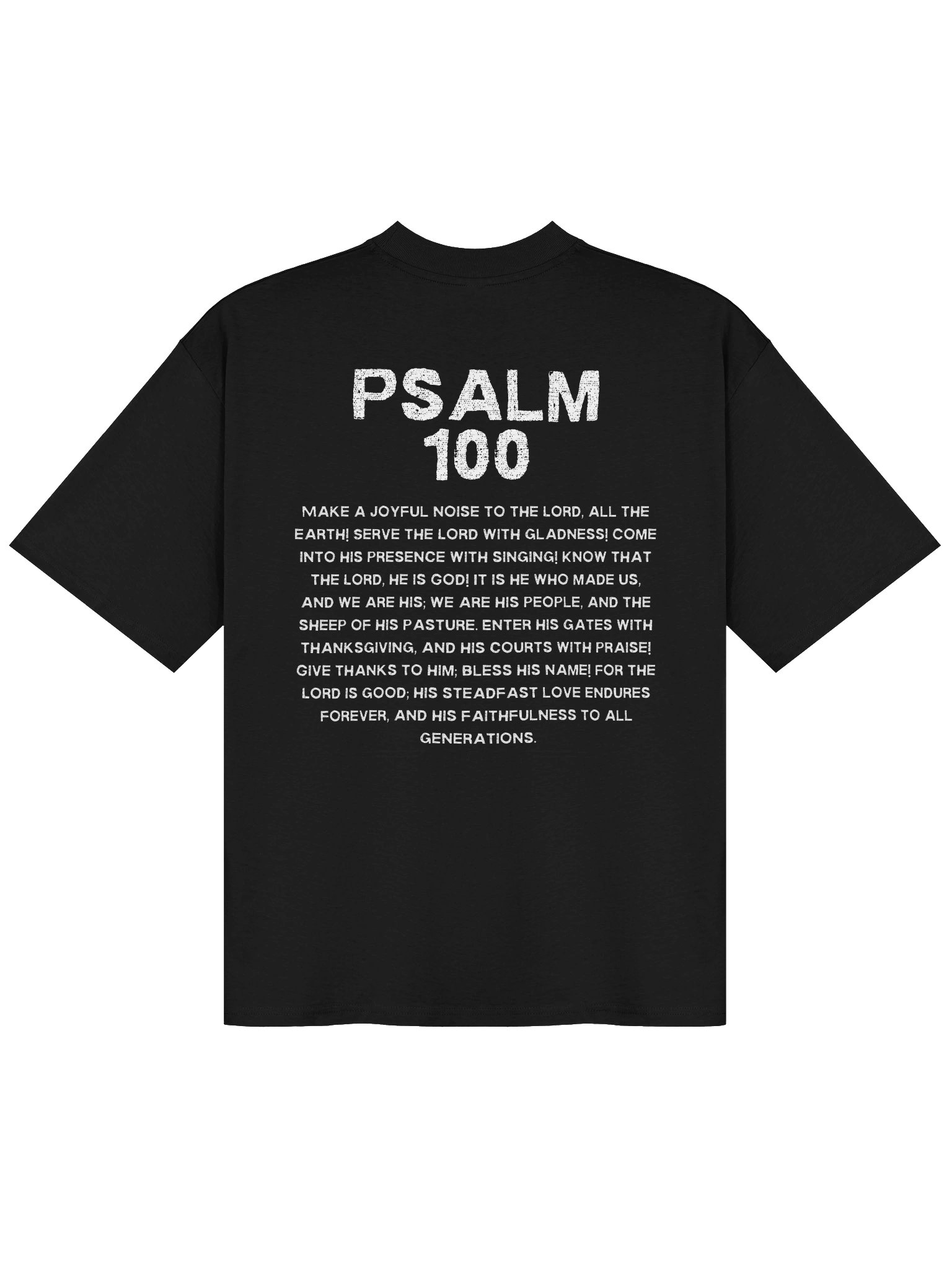 GDNB 100 Tee product image (2)