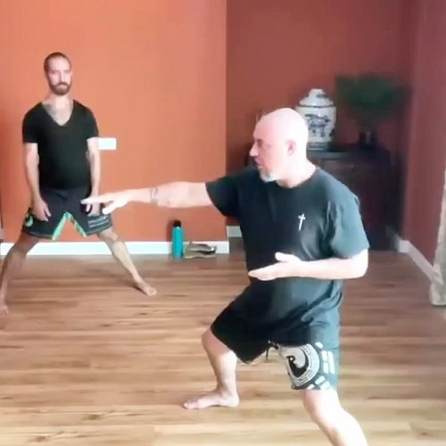 Playing with body connection principles and movements in the new training space. 

#martialarts #xingyi #shaolin