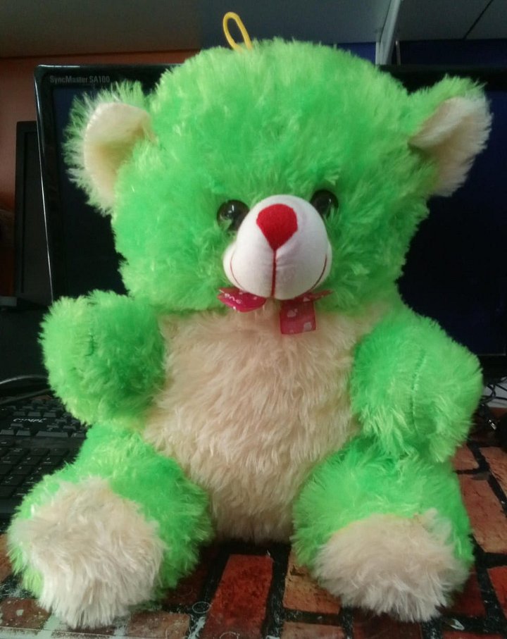 TEDDY BEAR product image (1)