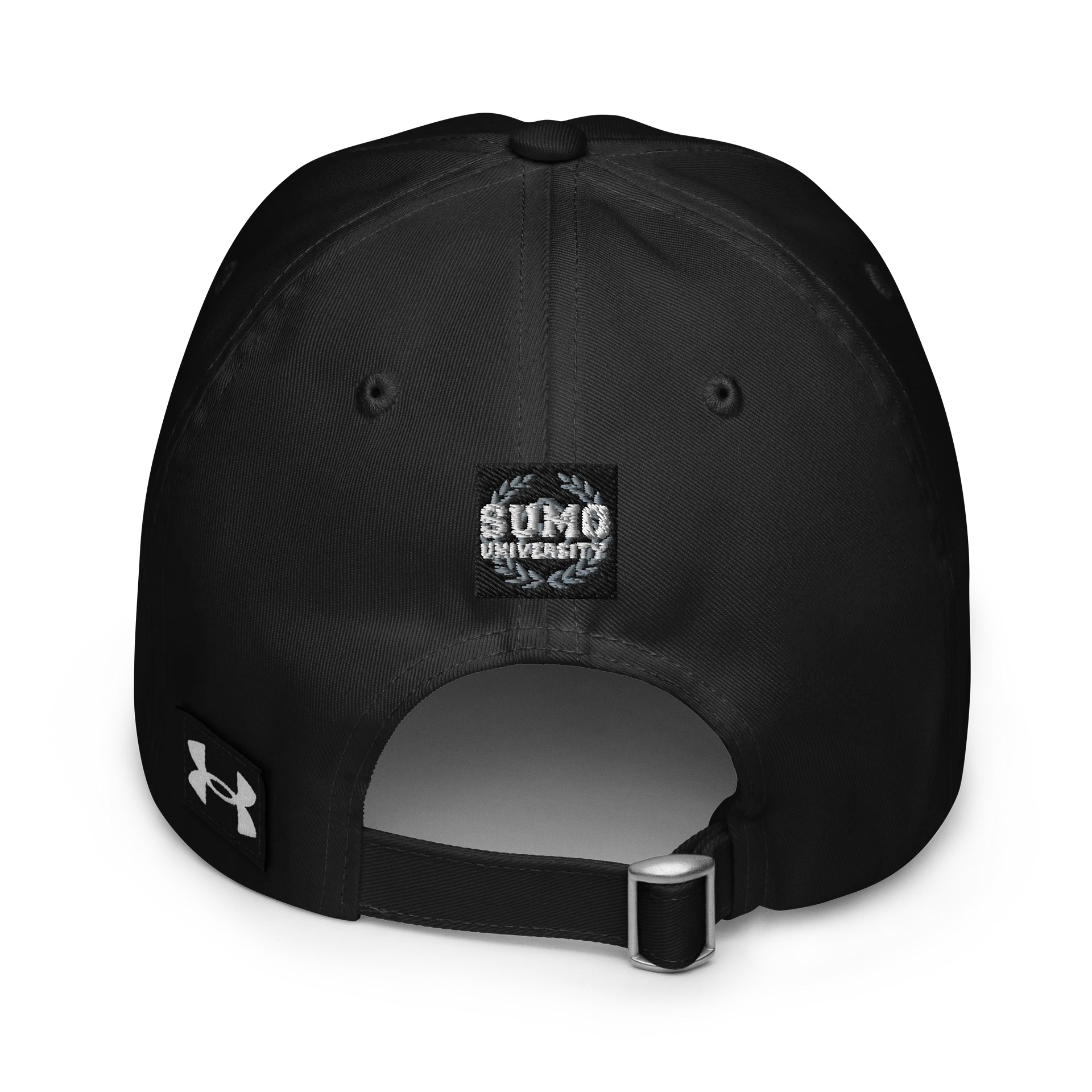 Hoshoryu [Kanji] Dad Hat product image (2)