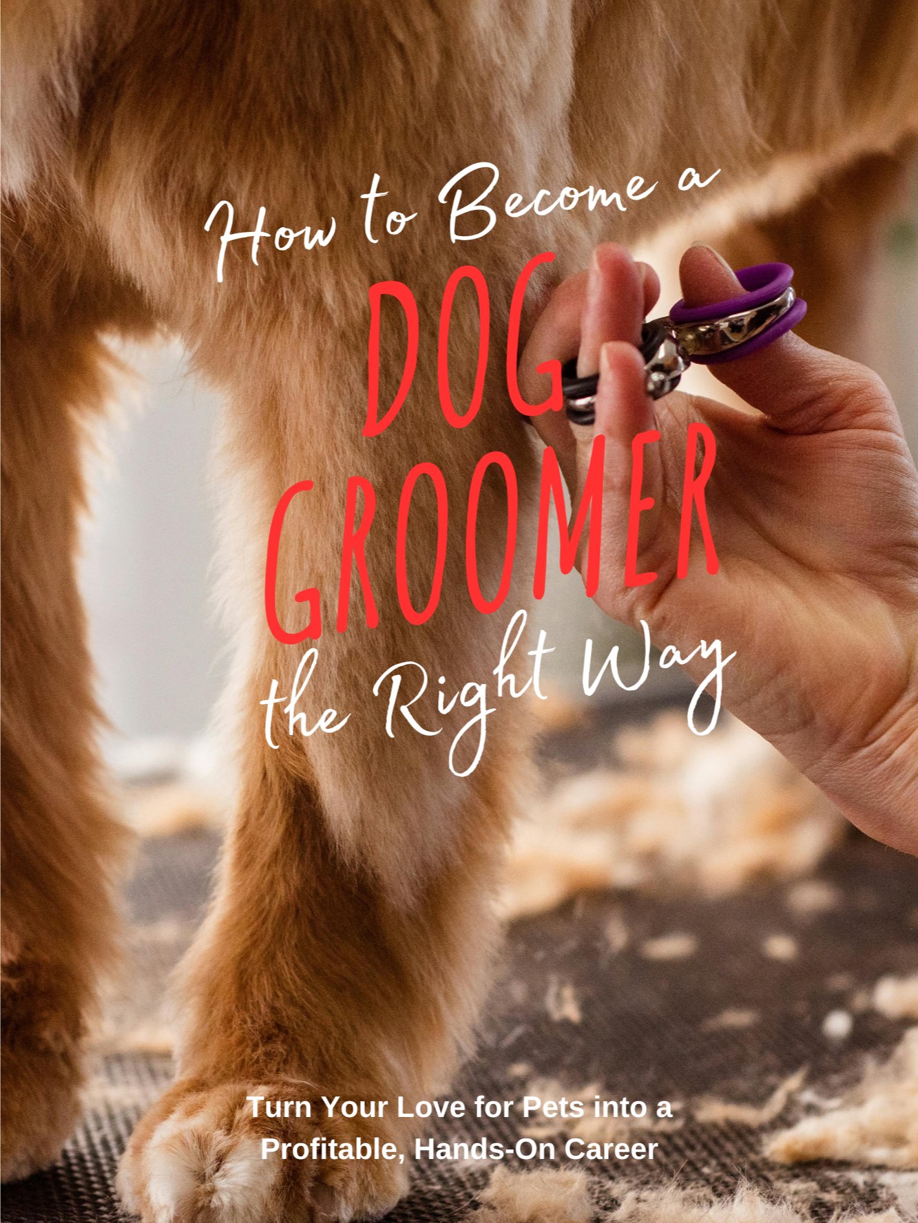 How to Become a Dog Groomer product image (1)