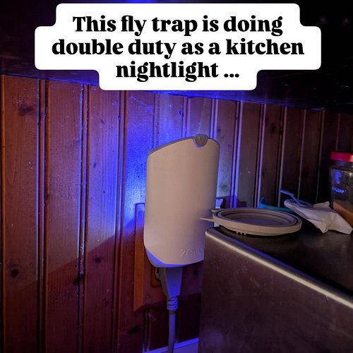 Got this free to try out, and so far it's beating my usual fly trapping methods, which is wonderful, because this is wayyy le...