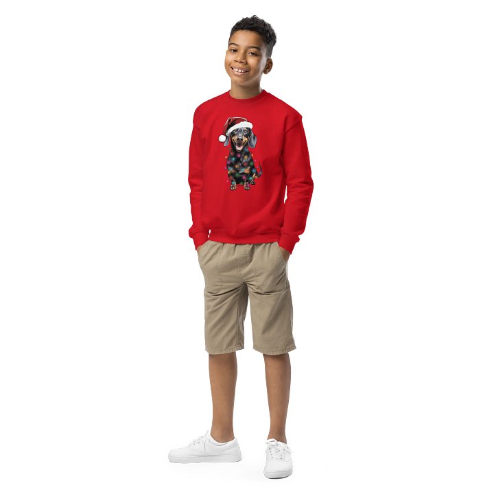Funny Christmas Dachshund(Black & Tan) Youth Sweatshirt product image (1)