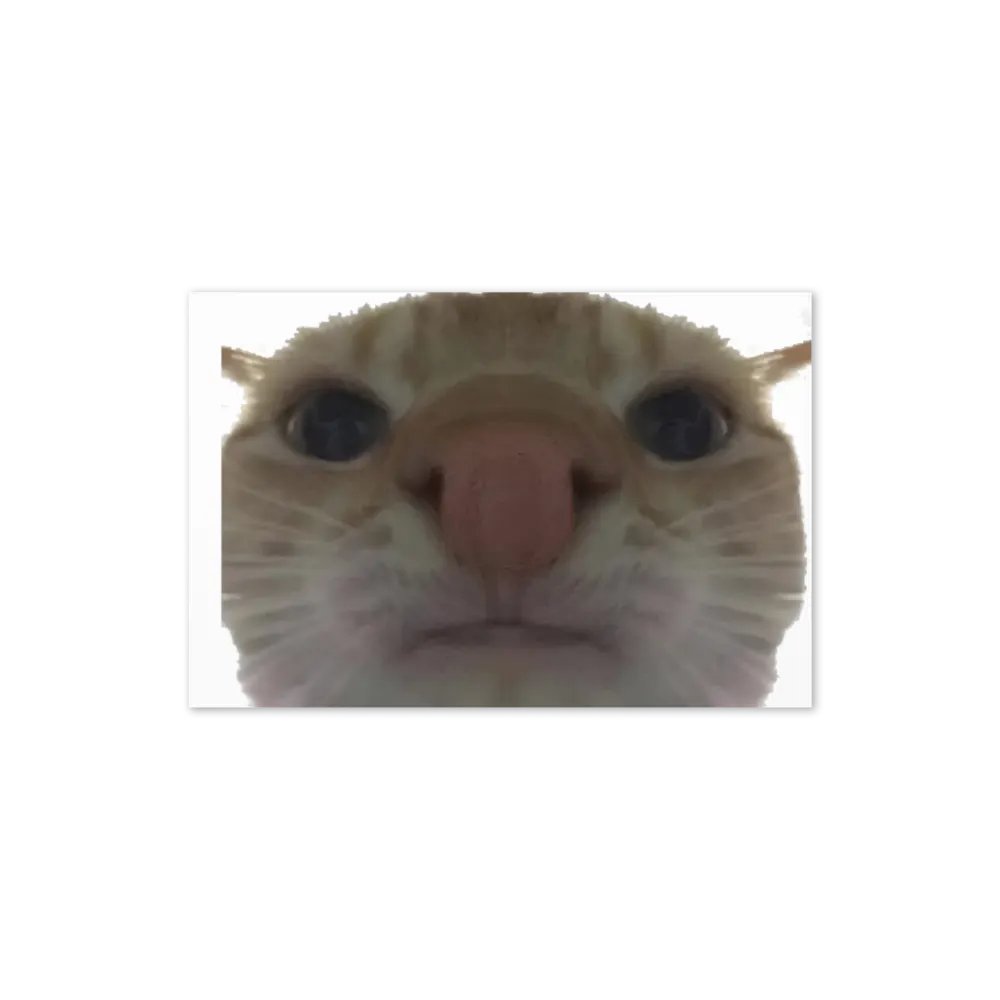 Greeting Card: Meme Cats product image (22)