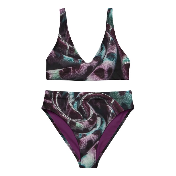 Spiraled Splendor High Waist Bikini Set product image (1)