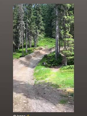 Titanclothing.linkpc.net @Janne 👨‍✈️ @jannis🦅  #viral #sponsor #freeride #fyy #mtb 