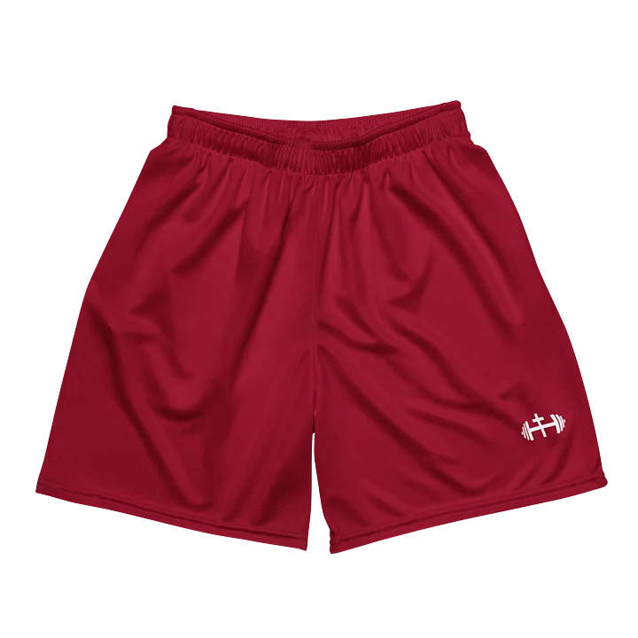 His House Mens Performance Mesh Shorts - Red product image (2)