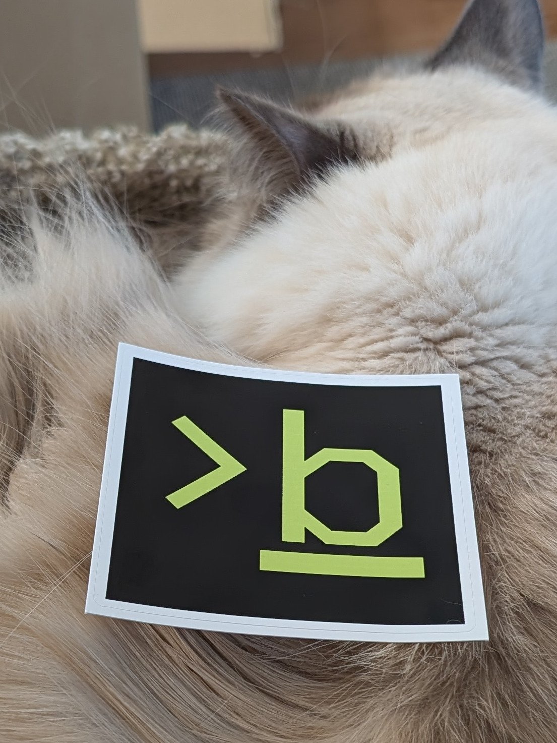 Stickers con logo de esbendev product image (1)