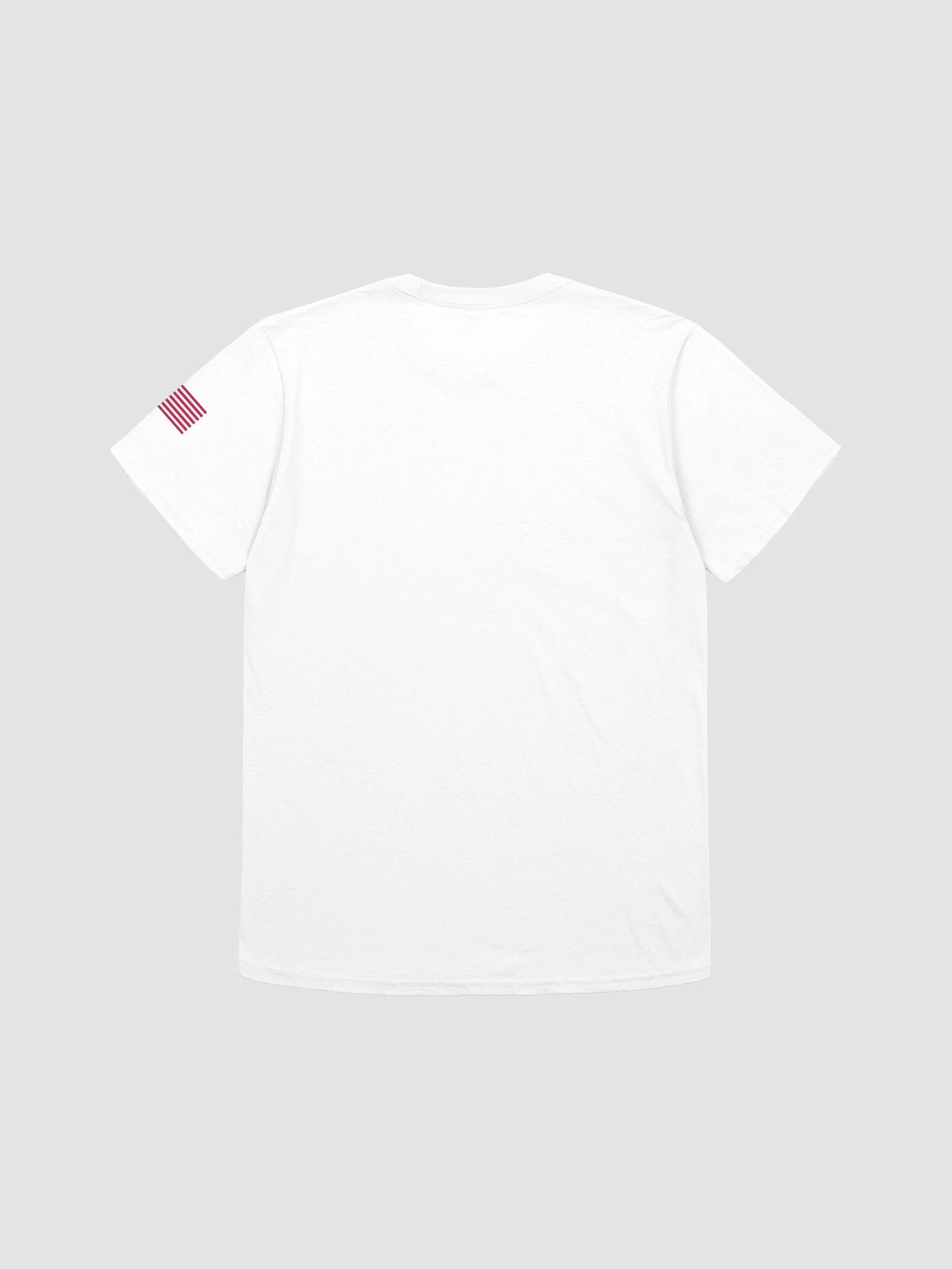 Dwillsprimetime Corporation T-shirt product image (2)