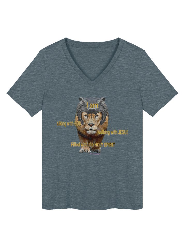 Immovable Ladies Relaxed V-Neck Tee product image (1)