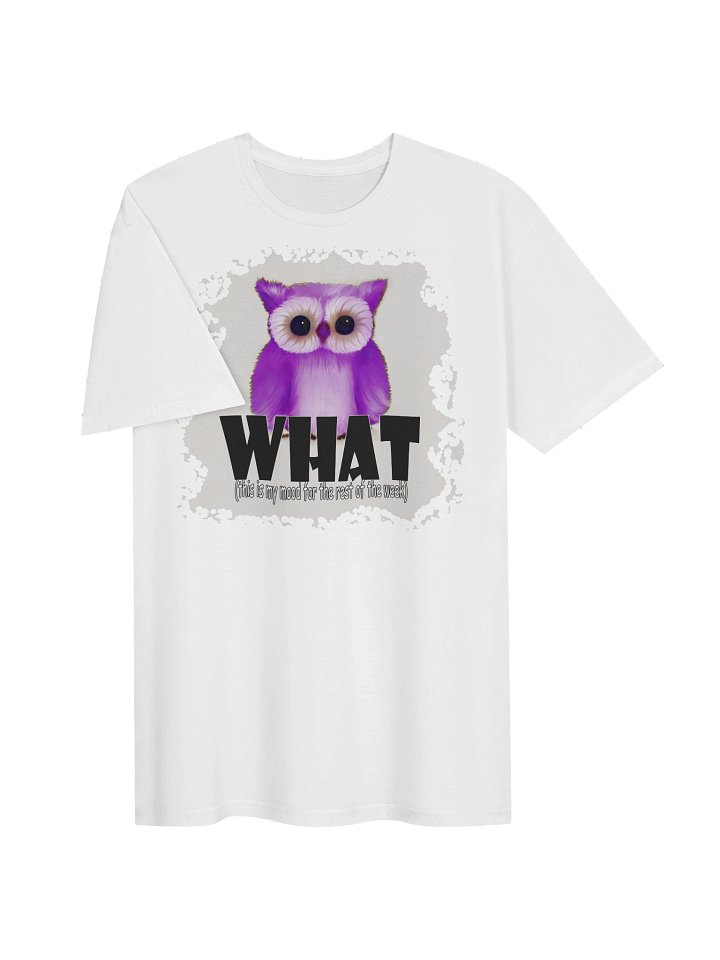 Unisex Gildan Softstyle T-Shirt product image (2)