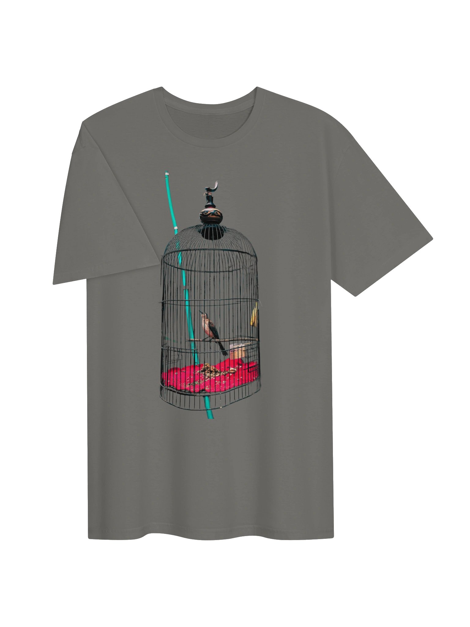 Bird in the Cage Graphic Tee product image (5)