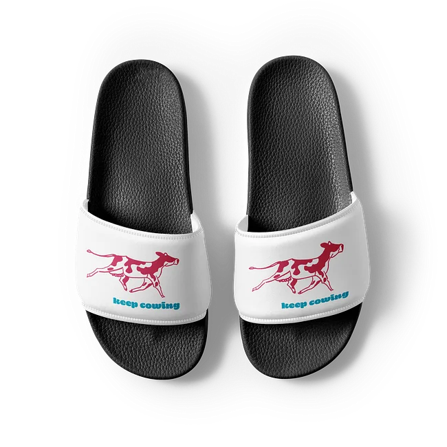 Slides