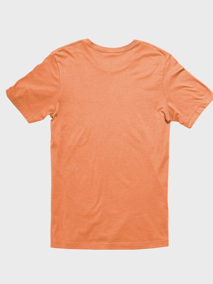 Consequence Bella+Canvas T-Shirt product image (9)