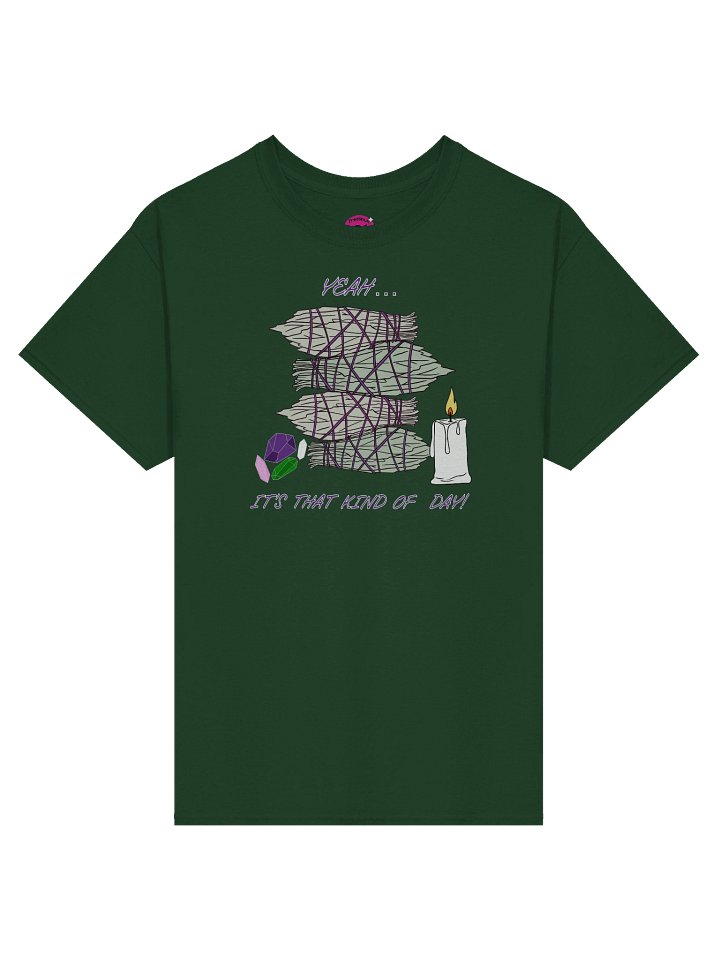 Sage and Crystal Vibes T-Shirt product image (25)