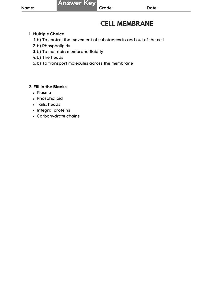 Cell Membrane Structure & Function Worksheet product image (2)