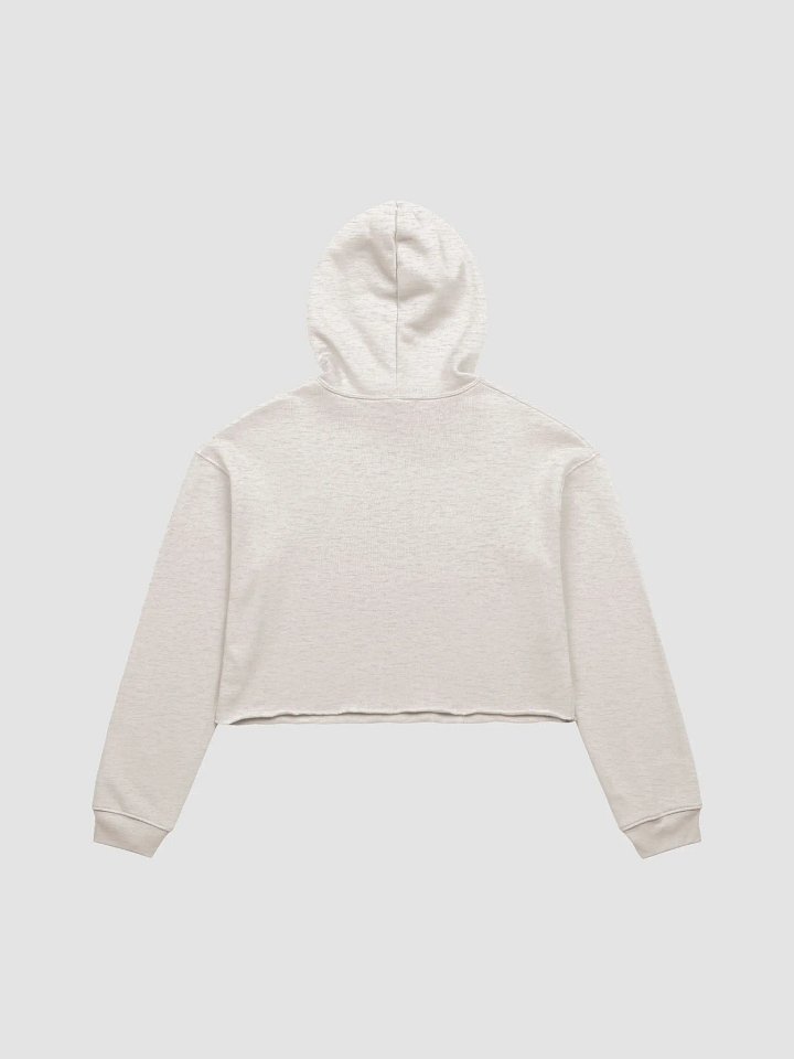 td 182 cropped hoodie product image (4)