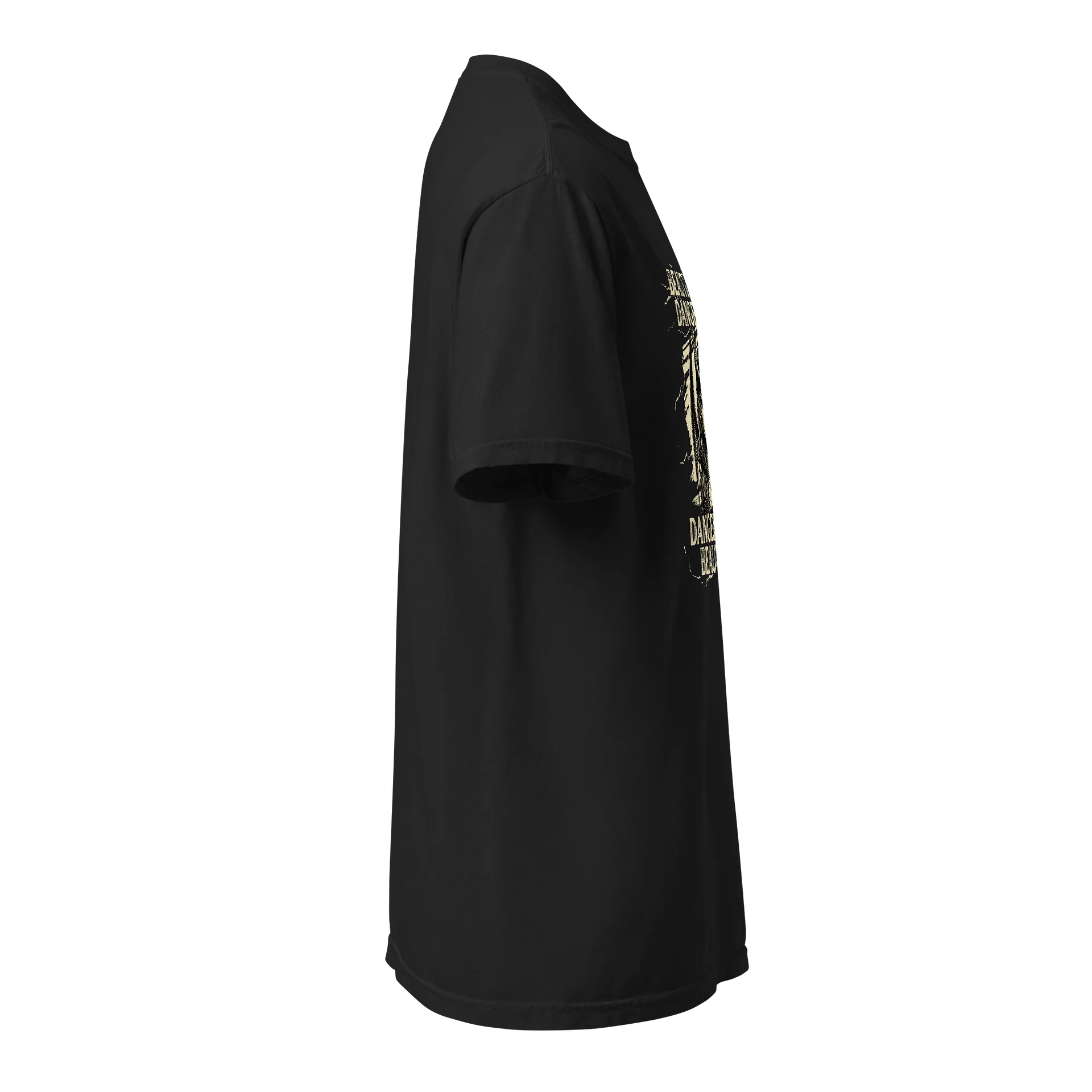 Beautifully Dangerous Gothic Tee product image (6)