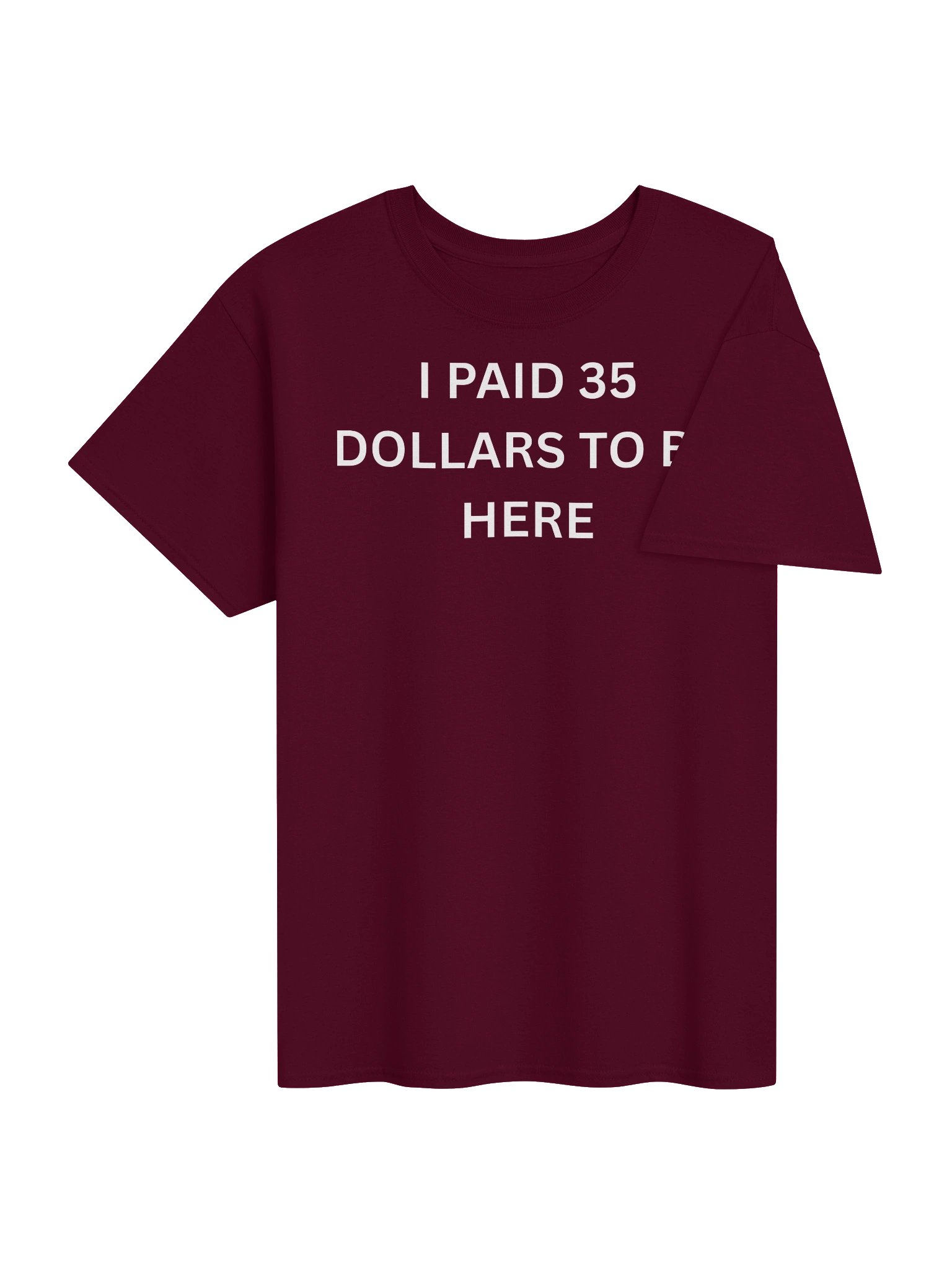 I PAID 35 TO BE HERE product image (4)