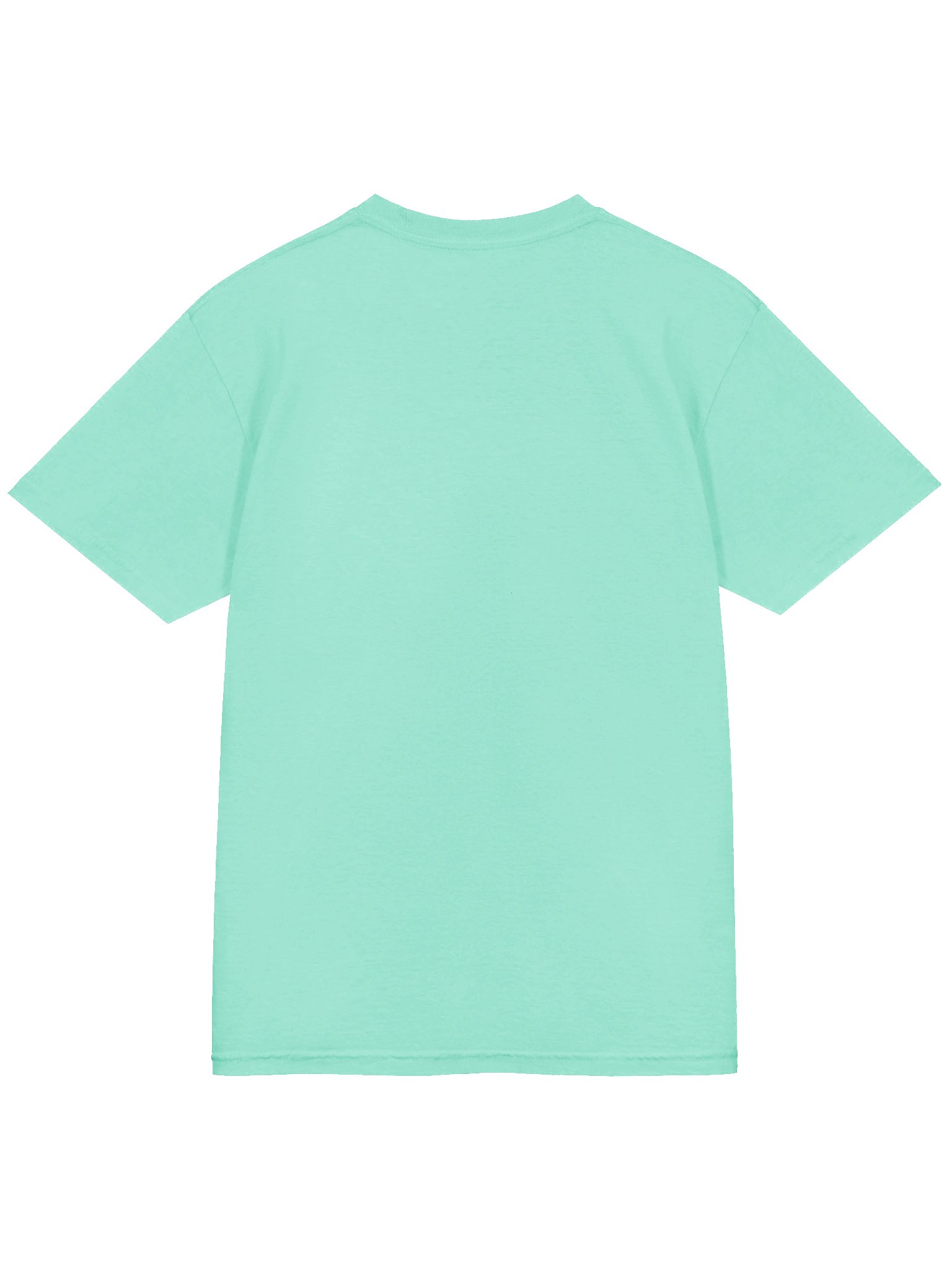 Ferrets | Sneak Steal Sleep | T-Shirt product image (34)