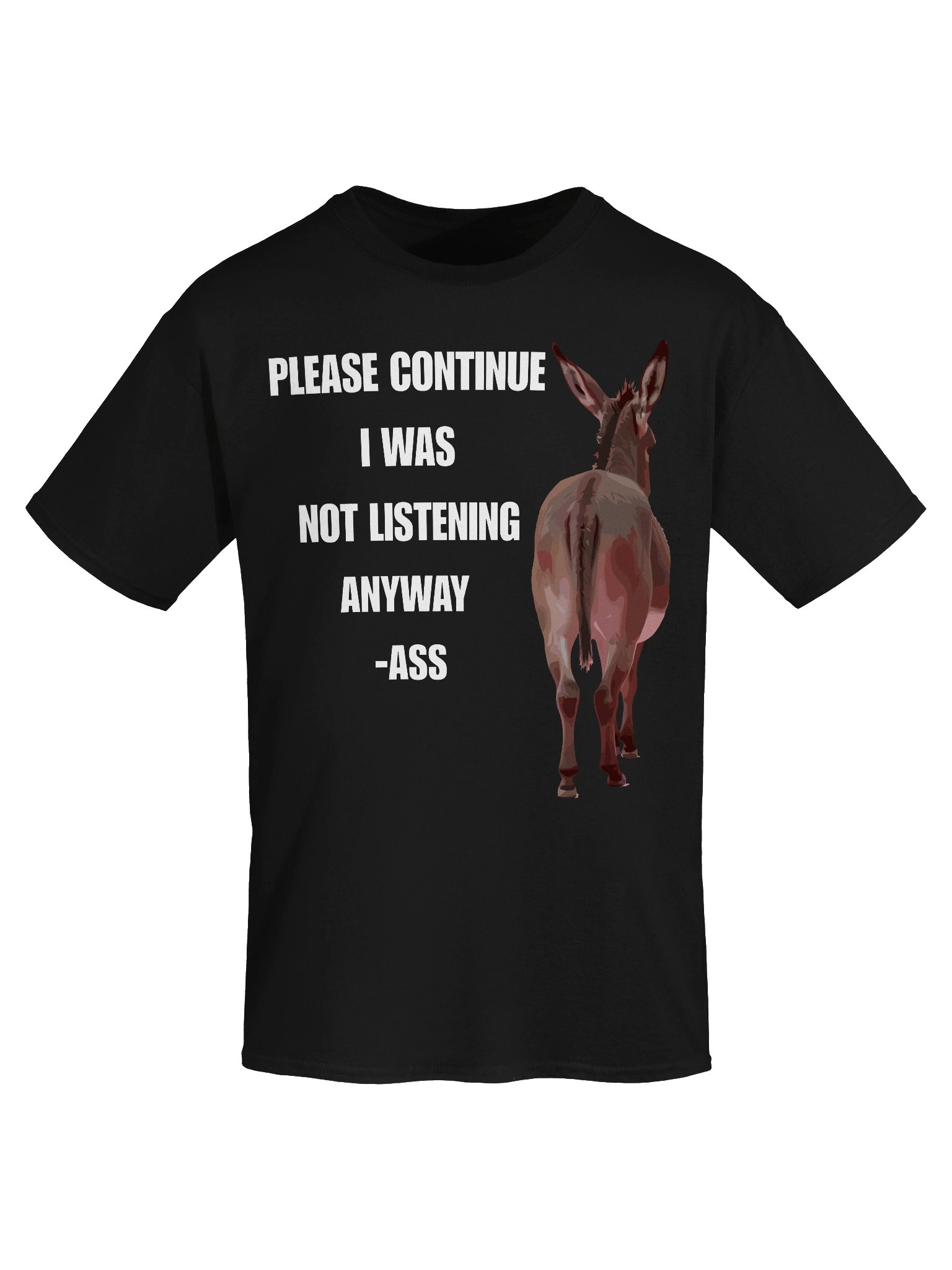 "Please Continue I Was Not Listening Anyway" Funny Sarcastic Humor T-Shirt product image (5)
