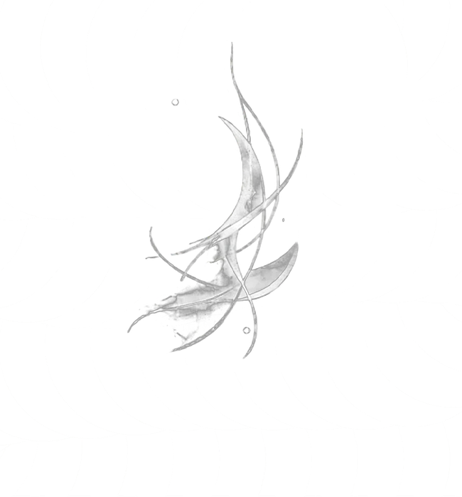 Qalvex