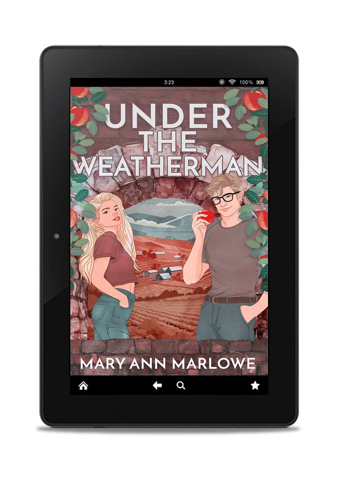 Under the Weatherman product image (1)