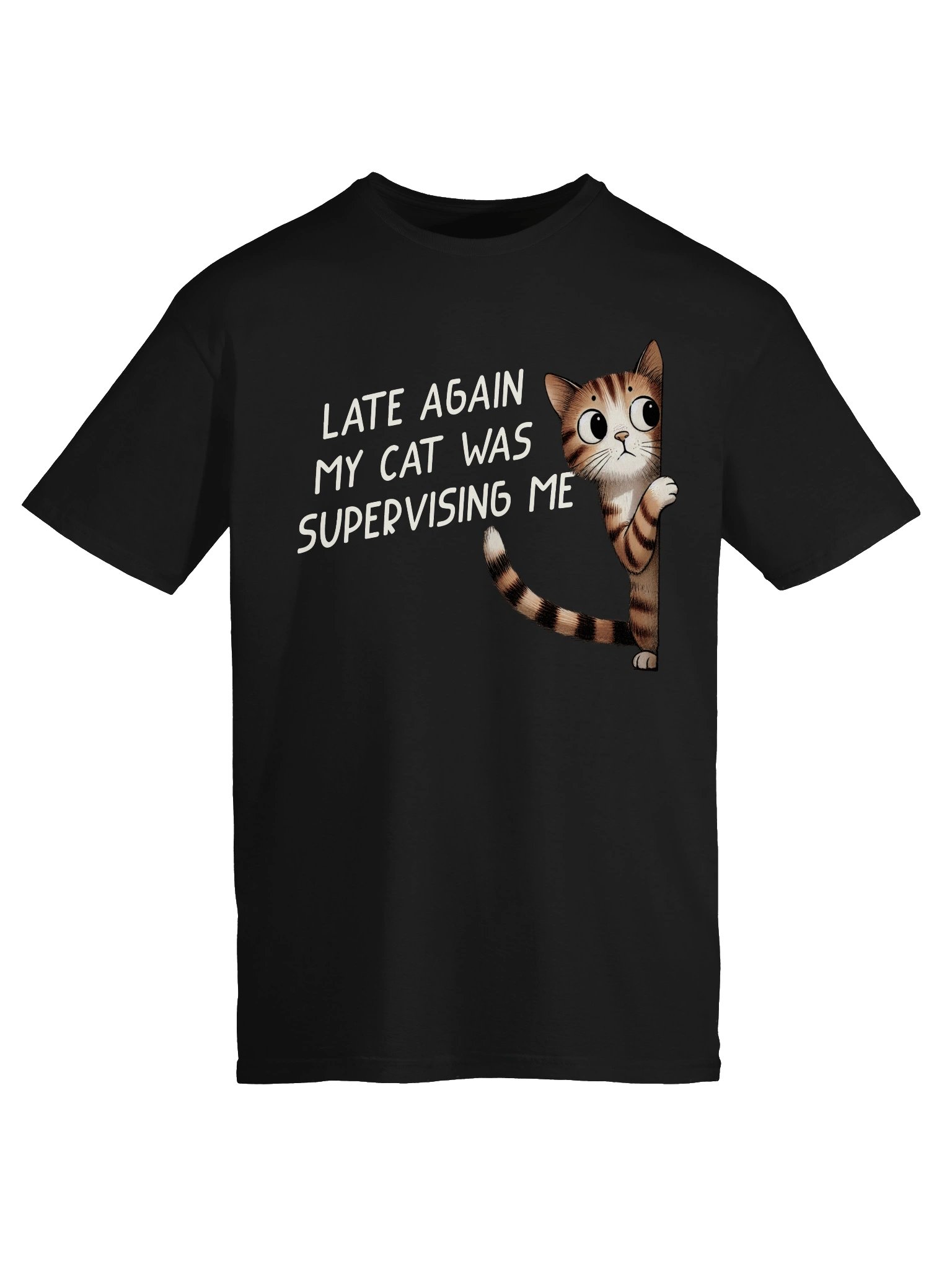 Cat Supervision T-Shirt product image (34)