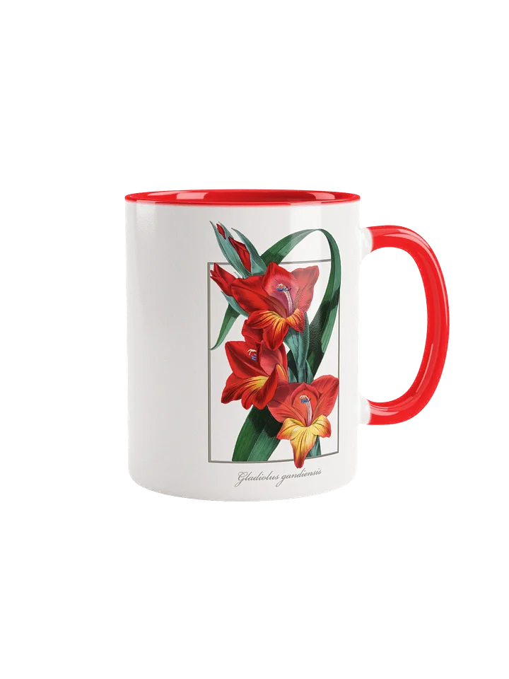 Gladiolus Gandiensis Flower - mug product image (1)