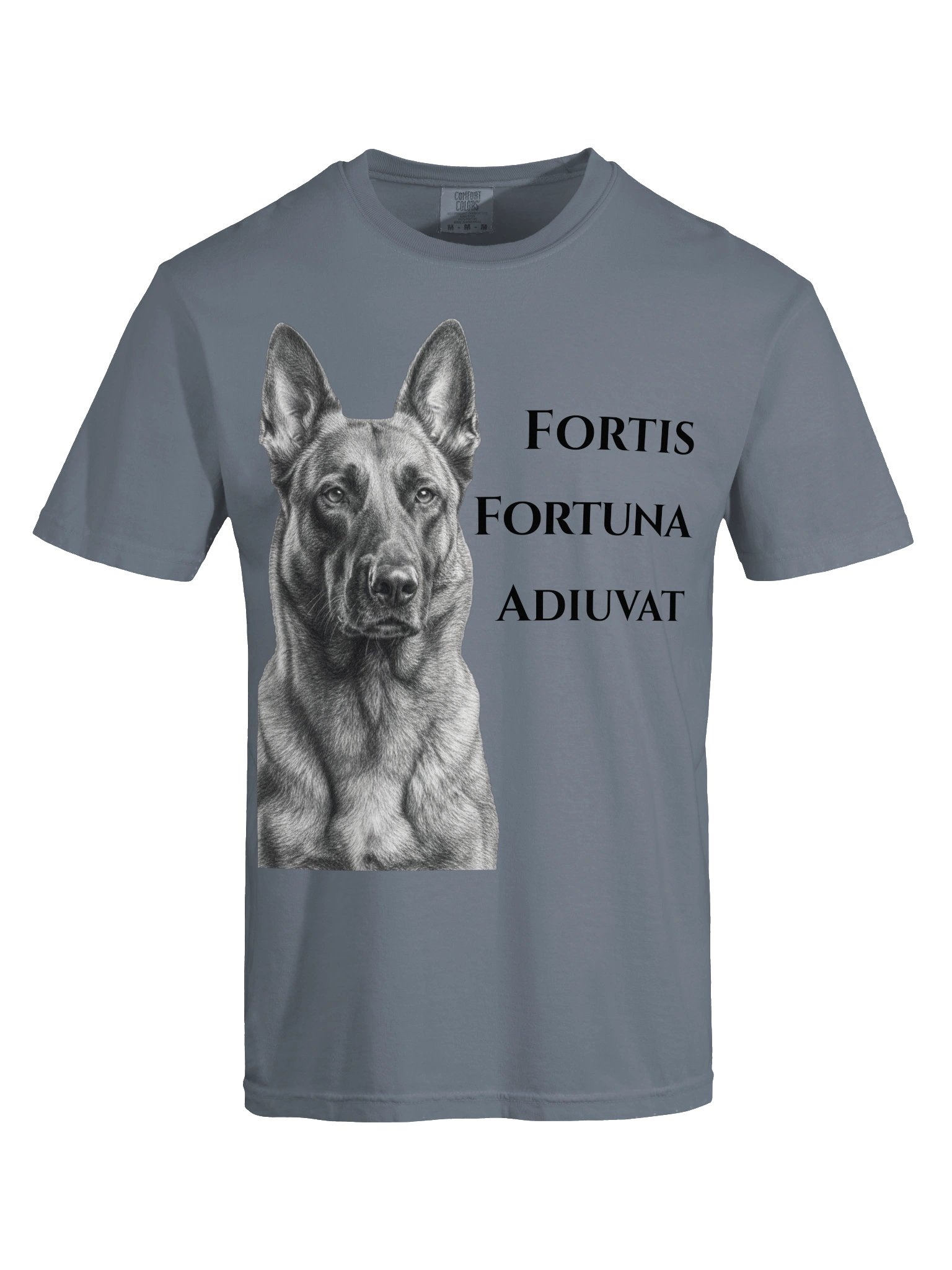 Fortune Favors the Bold product image (33)