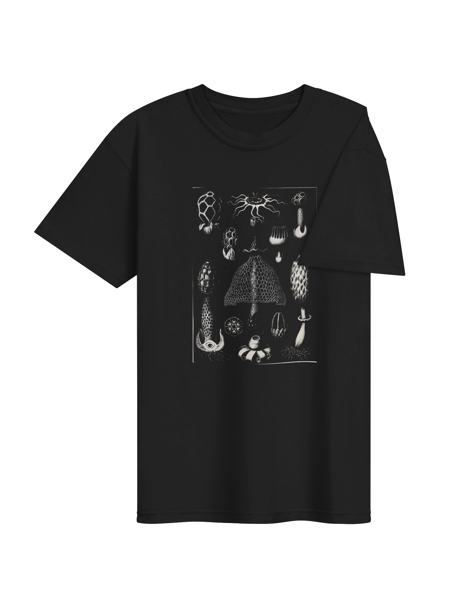 Stinkhorn Fungi Vintage Scientific Illustration T-Shirt product image (4)