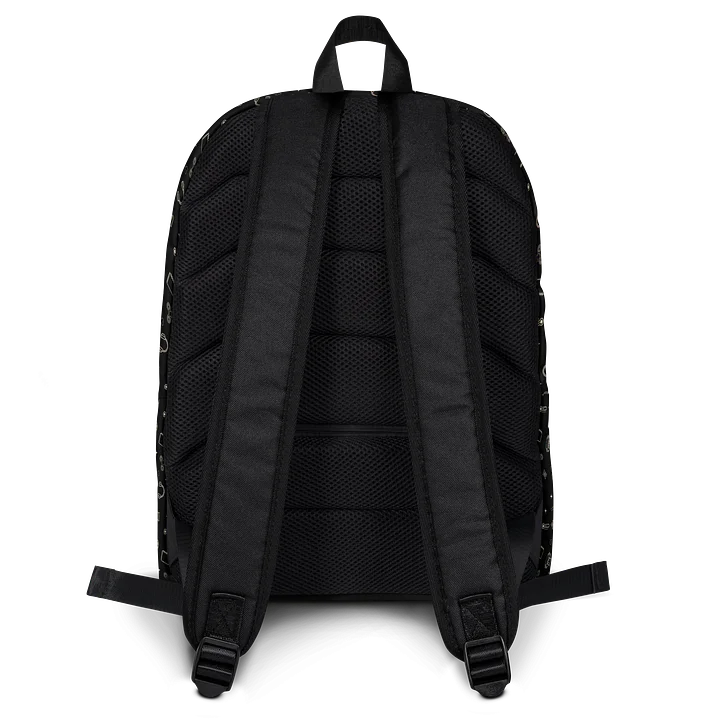 The Day Pack | Chronic Illness Essentials & Spoonie Daily Pack product image (2)